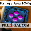 Kamagra Jelly 100Mg 04